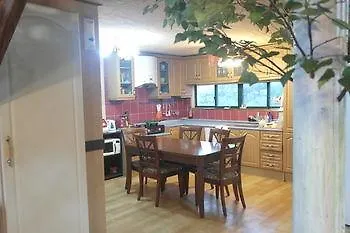 Szálloda Starjjang Guesthouse Csedzsu