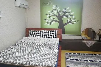 Hotel Starjjang Guesthouse Čedžu